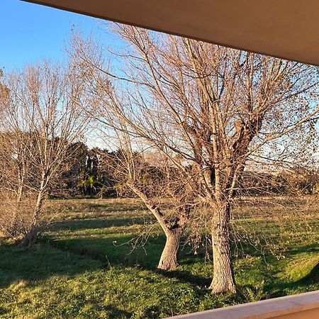 Apartament Lizzies Hus Fiumicino Zewnętrze zdjęcie