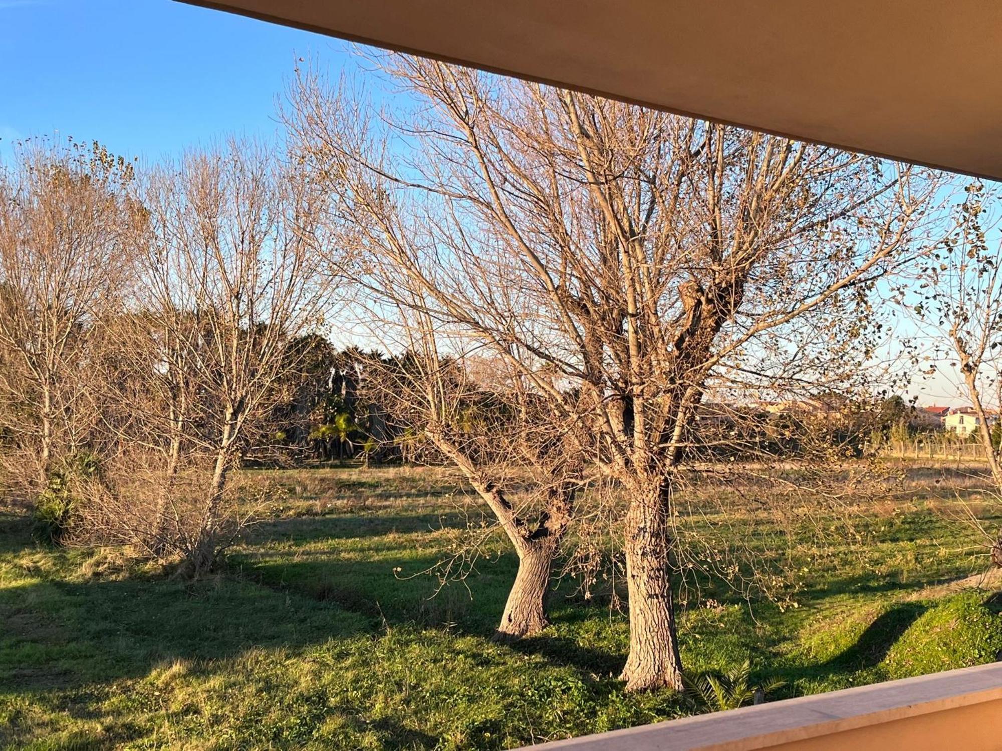 Apartament Lizzies Hus Fiumicino Zewnętrze zdjęcie